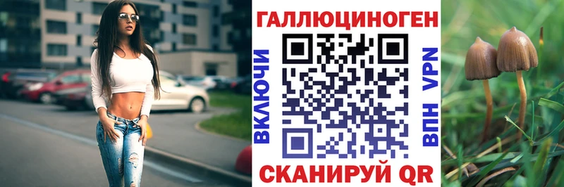Галлюциногенные грибы GOLDEN TEACHER Ковылкино