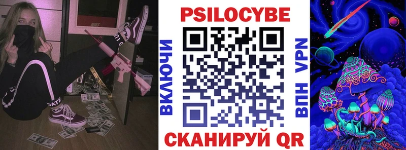 Купить  Ковылкино  Галлюциногенные грибы Psilocybe 